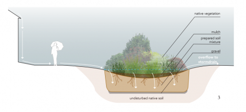 Bioswale #2 Installation | Office of Sustainability & Community Engagement