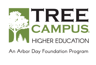 Tree Campus USA Designation 